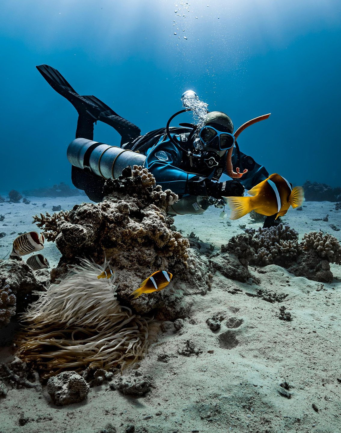 Scuba Diving