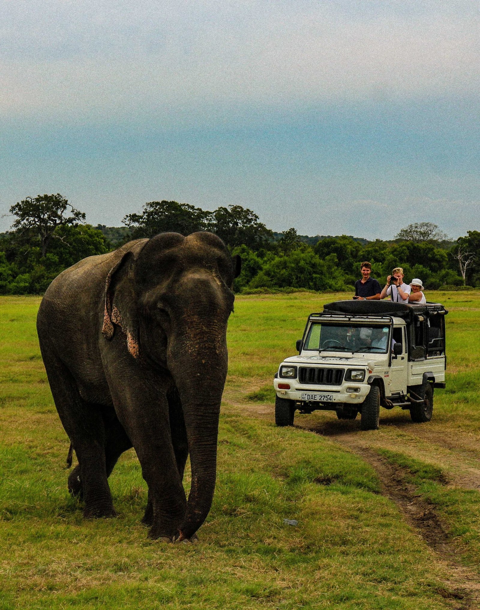 Wildlife Jeep Safari