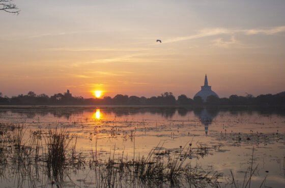6 Days – Sri Lanka Ancient Heritage & Wildlife Tour