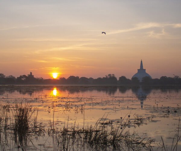 6 Days – Sri Lanka Ancient Heritage & Wildlife Tour