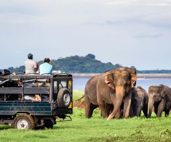 3 Days – Sri Lanka Cultural, Wildlife & Hill Country Tour