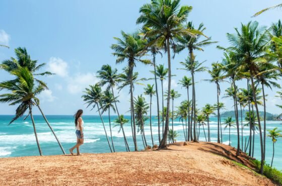 Discover the Best of Sri Lanka: A Journey Through the Island