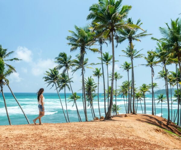 1 Day – Sri Lanka Whale Watching Adventure