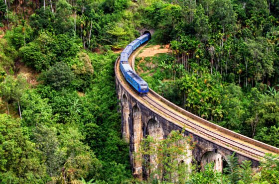 7 Days – Sri Lanka Nature, Wildlife & Cultural Escape