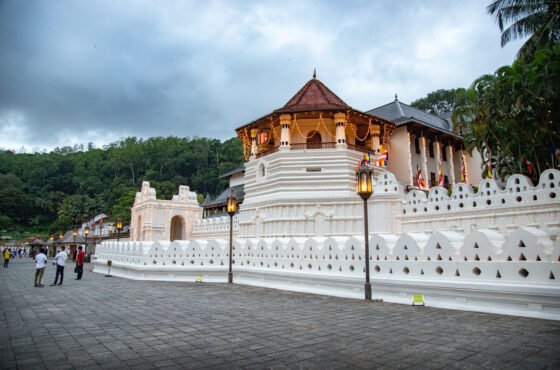 9 Days – Sri Lanka Highlights & Adventure Tour